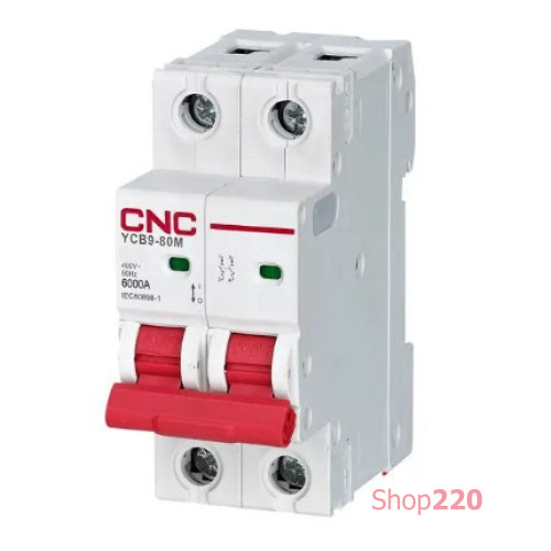 Автомат постоянного тока 3 А, 2-полюсный, тип C, YCB9-80M CNC Б00035406
