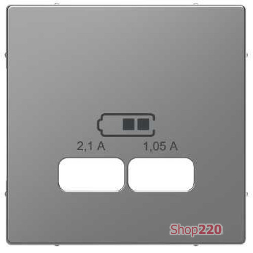 Накладка USB розетки, нержавеющая сталь, Merten MTN4367-6036