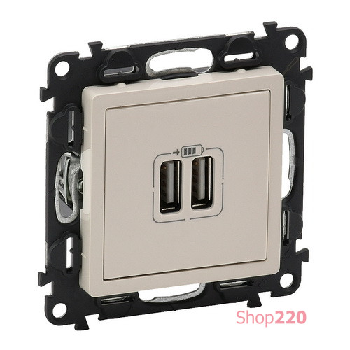 Розетка USB для зарядки двойная, слоновая кость, 753512 Legrand Valena Life