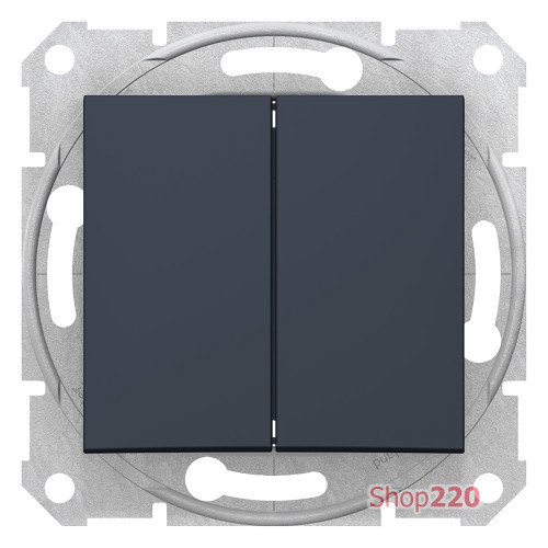 Выключатель двухклавишный, графит, Sedna SDN0300170 Schneider