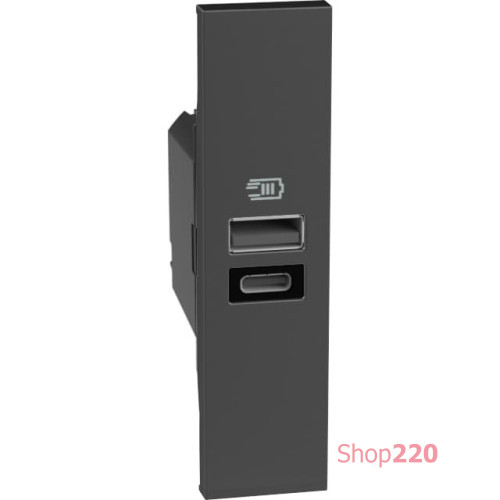 Розетка USB на 2 разъёма тип - A/C 15 Вт/3000мА 1 модуль, черный, Bticino Living Now