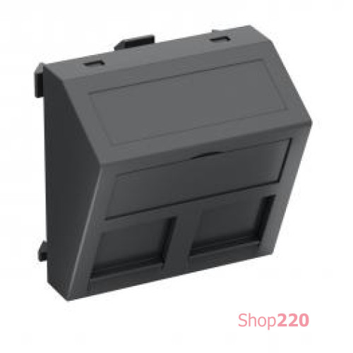 Панель для двух модулей RJ45 R&M наклонная, 45х45, графит, 6119252 Obo Bettermann