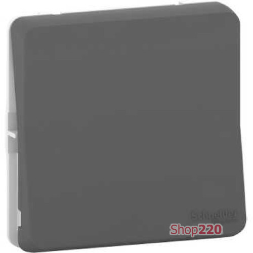Переключатель IP55, черный, Mureva Styl Schneider MUR37021