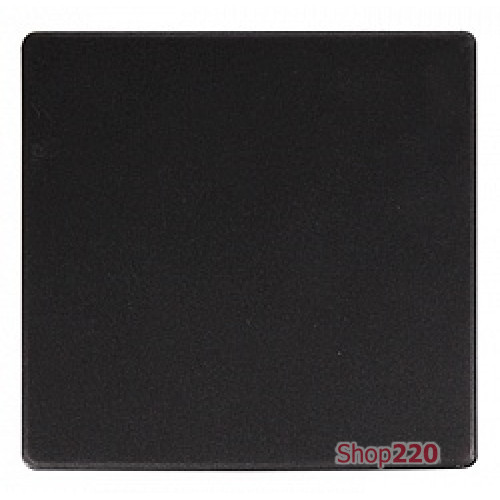 Клавиша одинарная антрацит, e.lux.11011L.pn.anthracite Enext ins0040012