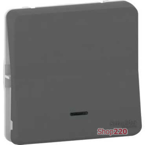 Переключатель с подсветкой IP55, черный, Mureva Styl Schneider MUR35025