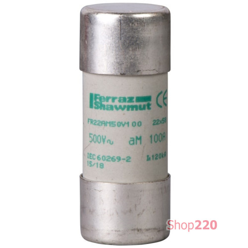 Предохранитель 100A, тип gG, 22x58 Schneider Electric DF2FN100