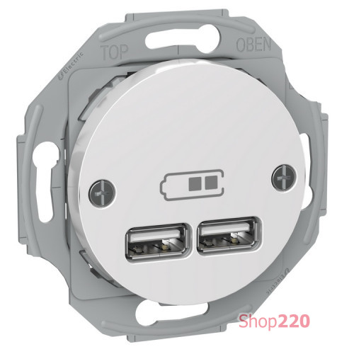 USB розетка тип А+А, 2.1 А, белый, Renova WDE011760 Schneider