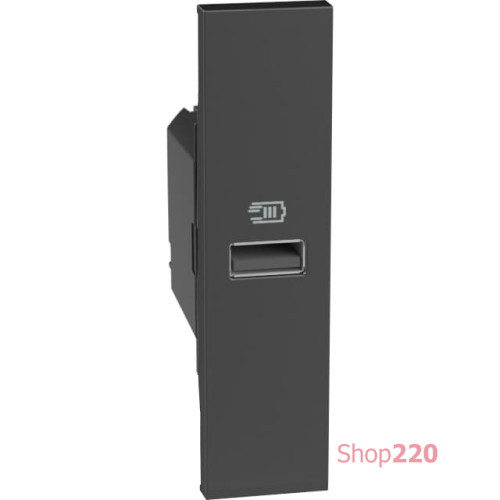 Розетка USB на тип - А 15 Вт/3000мА 1 модуль, черный, Bticino Living Now