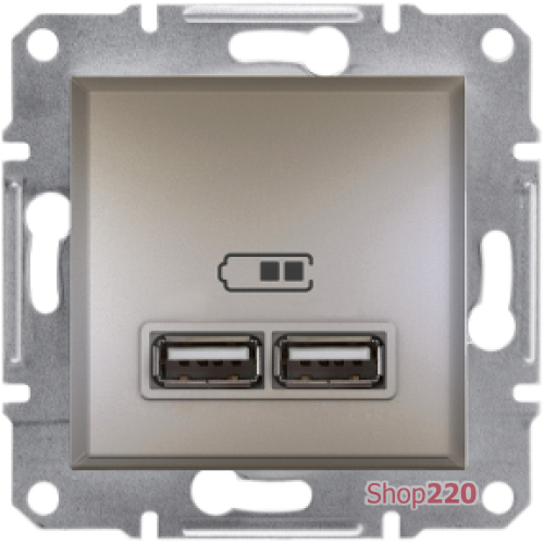 USB розетка, бронза, EPH2700269 Schneider Electric Asfora
