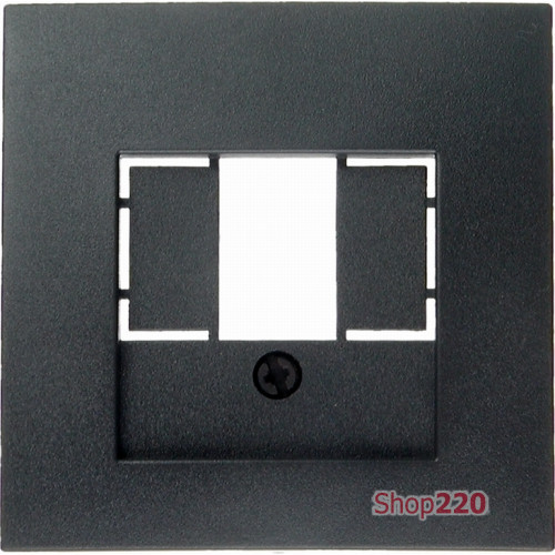 Накладка для аудио и USB розеток, антрацит, S.1 Berker 10331606