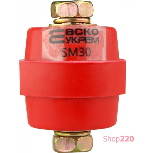 Изолятор-держатель для шин, SM30 Аско A0150100002