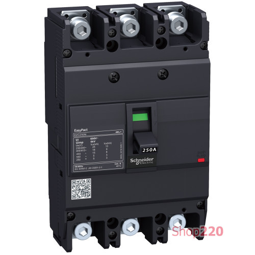 Силовой автоматический выключатель 100 А, трехфазный, 25кА, EasyPact Schneider EZC250N3100