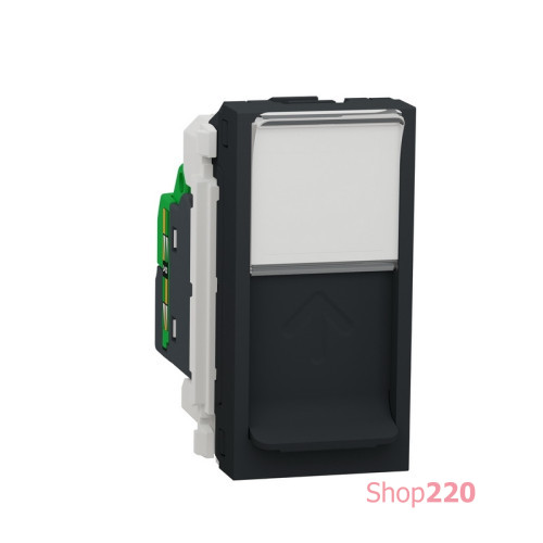 Розетка компьютерная RJ45, 5 UTP, антрацит, 1 модуль, Unica New Schneider NU341054