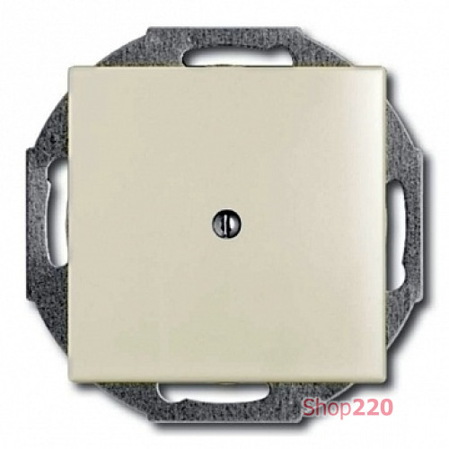 Заглушка, белый шале, ABB 2538-96-507 Basic 55