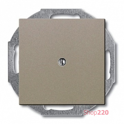 Заглушка, шампань, ABB 2538-93-507 Basic 55