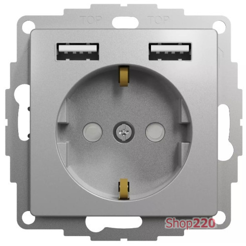 Розетка электрическая с USB тип А+А, алюминий, Sedna Design SDD113052