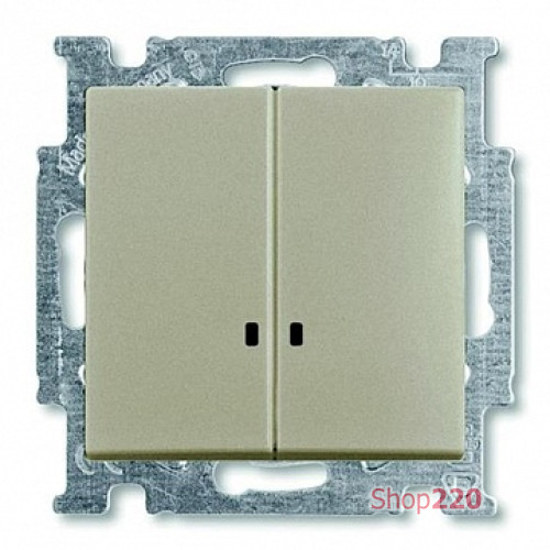 Выключатель 2-клавишный с подсветкой, шампань, ABB 2006/5 UCGL-93-507 Basic 55