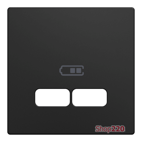 Центральная плата для USB-зарядного механизма, Merten System M, матовый чёрный MEG4367-0403