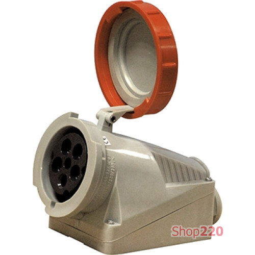 Силовая розетка стационарная 2Р+Z, 250В, 16А, IP67, Tarel 2624-137