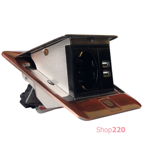 Врезная розетка 220В + USB для зарядки, античная медь, ElectroHouse EH-F007