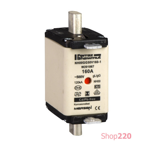 Предохранитель 250A, тип GG, 1E Schneider Electric DF2HN1251