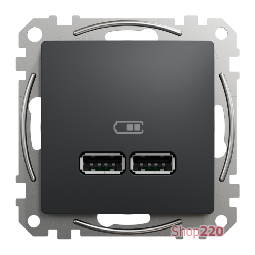 Розетка USB тип A+A, черный, Sedna Design SDD114401