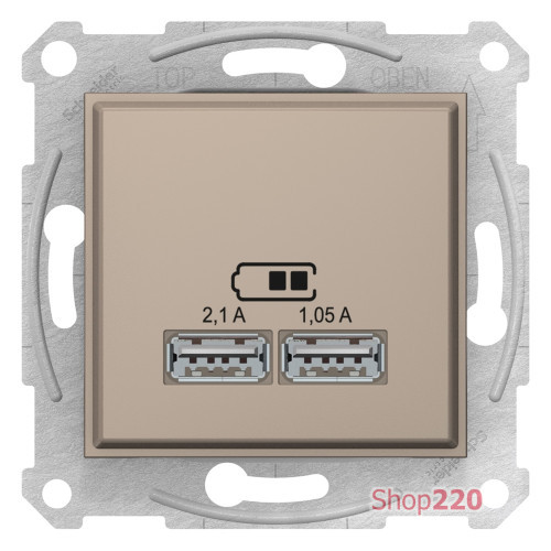 USB розетка, титан, SDN2710268 Schneider Electric Sedna