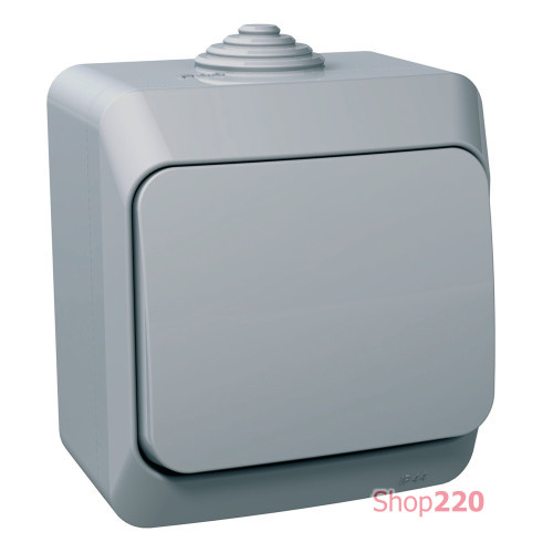 Выключатель накладной, серый, IP 44 Cedar WDE000610 Schneider Electric
