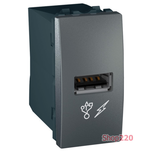 Розетка USB для зарядки, 1 модуль, графит, MGU3.428.12 Schneider