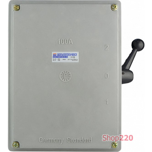 Разъединитель 1-0-2 на 100А (QS5-100P/4) A0100010012
